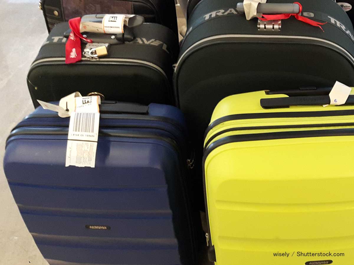Amazonセール開催中】久しぶりの旅行の前に『スーツケース』が欲しい…というアナタにぜひ！ – grape [グレイプ]