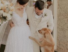 結婚式に紛れ込んだ野良犬が、新郎新婦を祝福！　続く展開に「感動した」