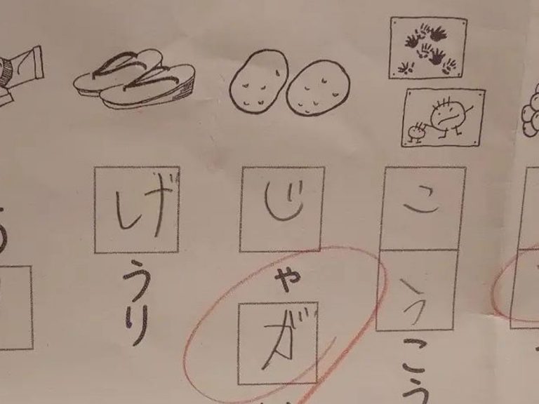 珍回答