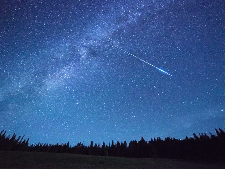 みずがめ座デルタ流星群』のピークは今夜！ 23時が好条件 – grape