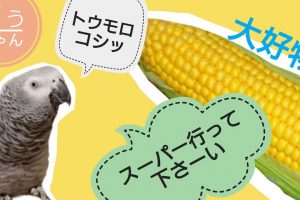 ihotfhxt9rcm ihotfhxt9rcm