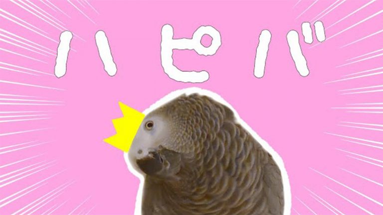 ihotfhxt9rcm ihotfhxt9rcm