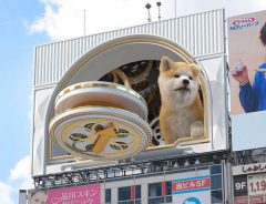 渋谷に出現した超巨大・秋田犬　通行人が撮影した動画に「かわいい！」