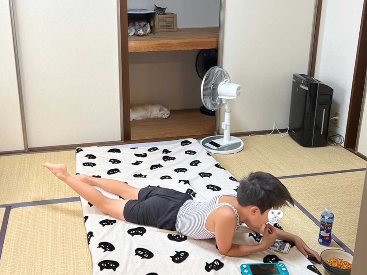 息子の写真