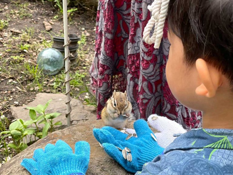 触れ合う