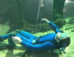 水族館「うちにシロイルカはいませんが…」　飼育員の『動画』に５万『いいね』！