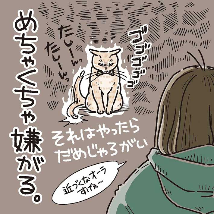 全身触られても怒らない猫 しかし 唯一許せないことがあって Grape グレイプ