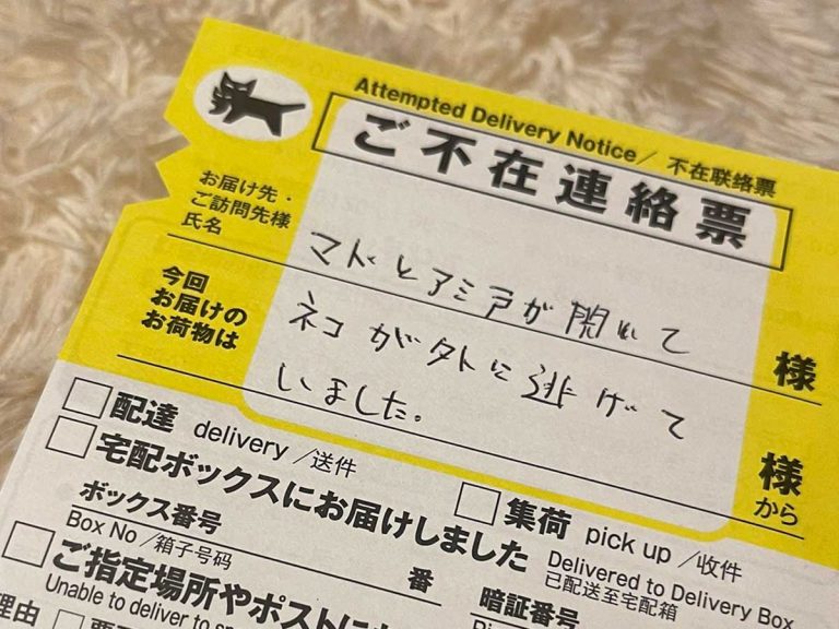 帰宅後目にした不在票 ヤマト配達員が書いていた言葉に「感謝しかない」 – grape [グレイプ]