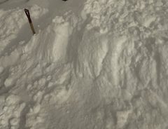 大雪に見舞われた新潟県　住民が見た朝の光景に「ヒザから崩れ落ちそう…」
