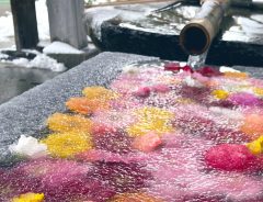 冬の『花手水』が美しすぎる！　神社の投稿に「まるでアートみたい！」