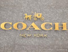 「かわいくて使いたくなる」「持ってる洋服と合いそう！」　『COACH（コーチ）』の人気商品がAmazonセールで大幅値下げ中！【1/22まで】