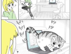パソコンの上に乗りたい猫　どいてもらうため、触ると…？