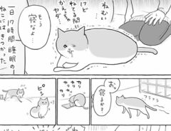 『女子会』に混ざる乙女な猫　睡魔に襲われた時の行動に「健気で泣ける」