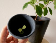 「この発想はすごい！」新芽に水やりしているみたいな、植木鉢のコーヒーフィルター