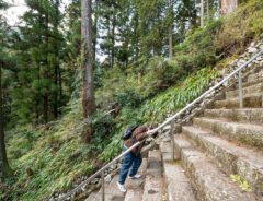 「何段あるの…？」　久遠寺の『キツい石段』に挑戦してみたら？