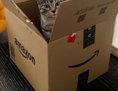 ダンボールに入る猫の写真を投稿した飼い主　Amazonからメッセージが来て…！？