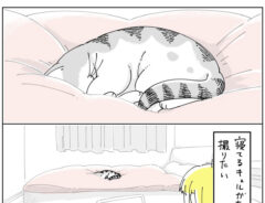 遠くのベッドで眠る猫　女性が動画を撮影し始めて？　「あるある」