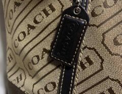 「新しいバッグは気分上がるよね」「春だし財布を買い替えようかな」普段使いにぴったりの『コーチ』は「高級感があって実用的!」