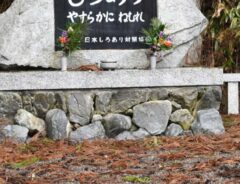 「人間生活と相容れないために…」　和歌山県で撮影された『お墓』の謎に迫る