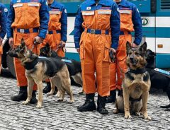 被災地トルコで救助活動した警備犬　ごほうび受け取る様子に、癒される！