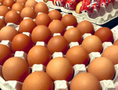 「卵が高すぎる、ぼったくりだ！」と言われた生産者　涙の訴えに「つらすぎる」「応援します」
