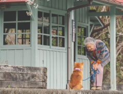 レトロな駅舎、桜の木…　柴犬とおばあちゃんの姿を収めた、１枚の写真が話題に