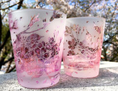 これは感動！満開の桜を描いたグラスの数々に「どれも美しい」「ずっと見ていたい」