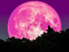 １年に一度の『ピンクムーン』がいよいよ！　２０２３年も、月を見て願いを叶えよう