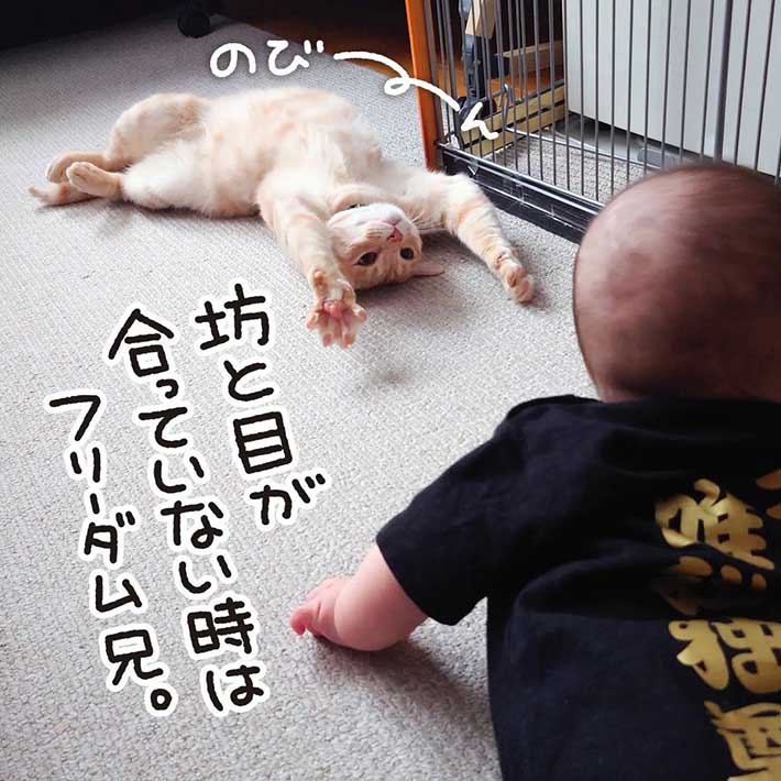 赤ちゃんと目が合った猫が…？ 反応に「尊い」「頑張れ～！」｜ニフティ