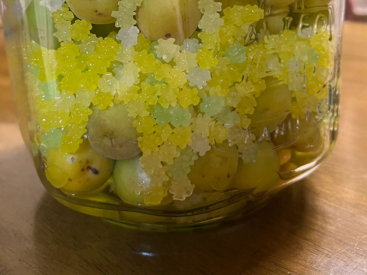 梅の砂糖漬け