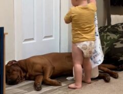 「この動画、１日中見ていられる」　男の子と犬の『やりとり』に心が温まる