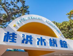 水族館の写真