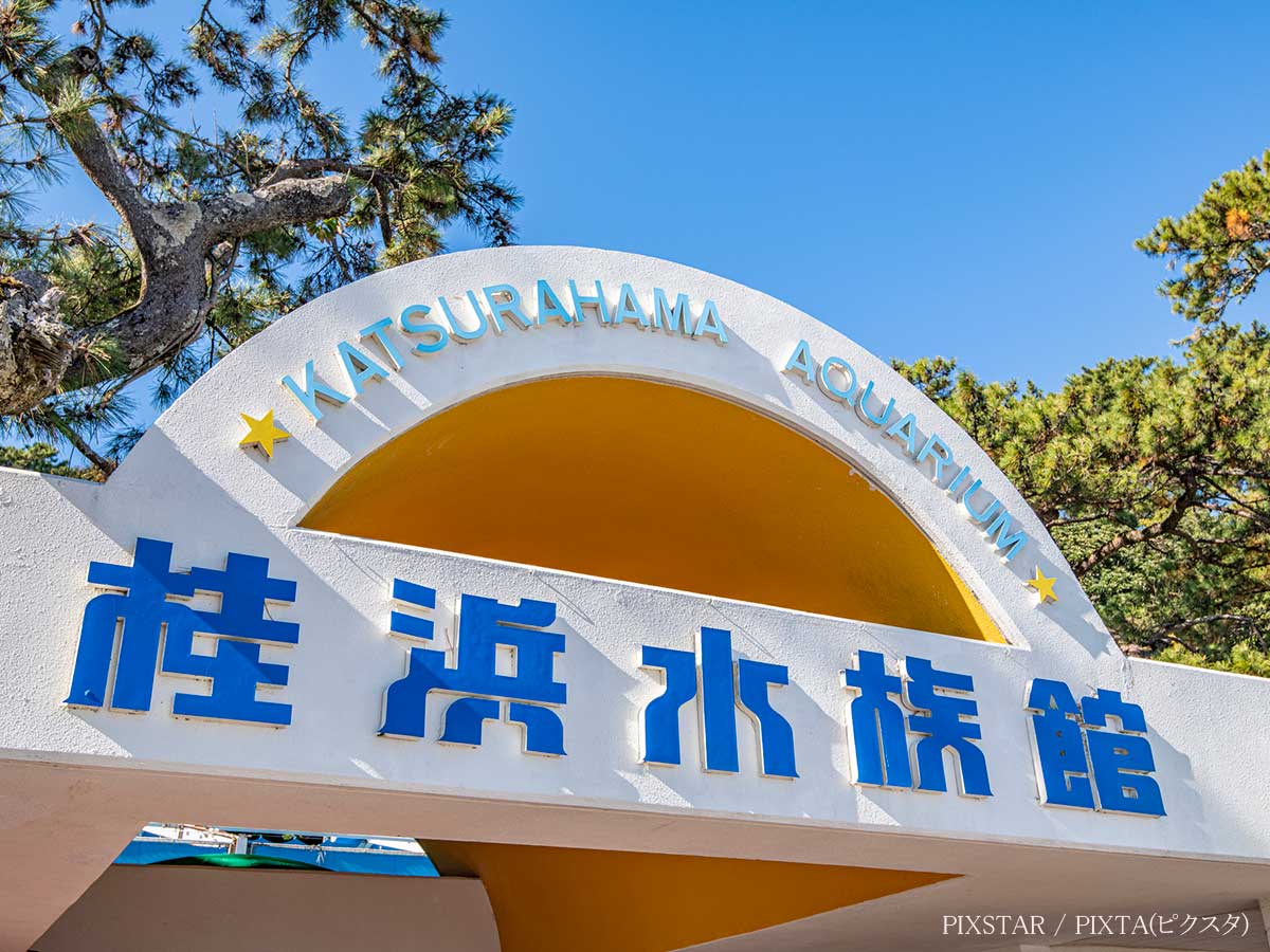 水族館の写真