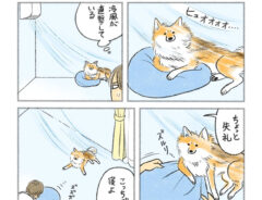 さかぐちまや（@SAKAGUCHIMAYA）さんの漫画