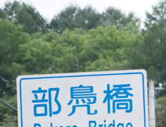 道路の写真