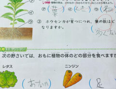 夏休みの宿題の写真