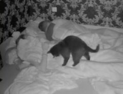 「うちの猫がこんなじゃなくてよかった」　夜中の猫を撮影した動画に爆笑！