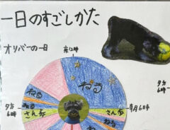息子の自由研究