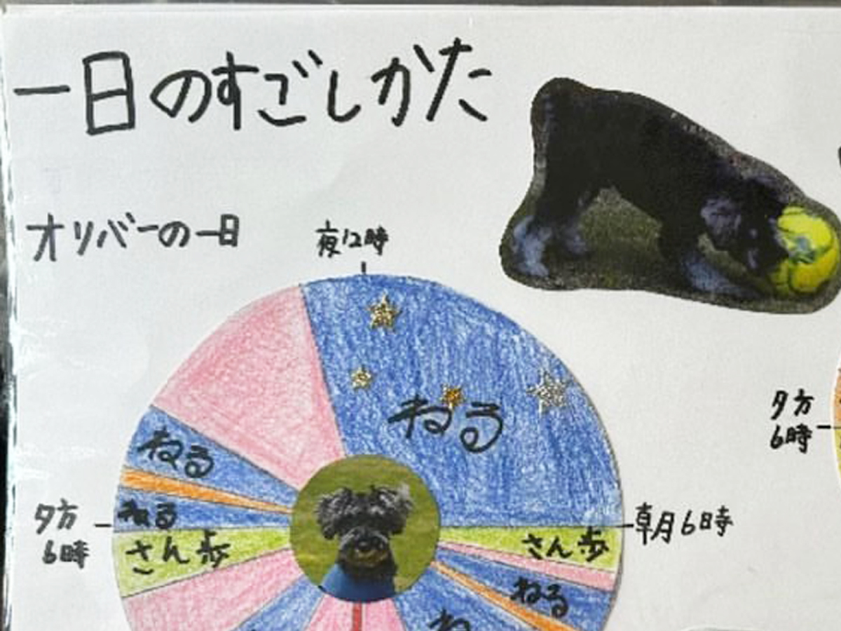 息子の自由研究