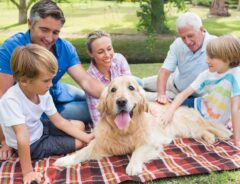 公園でピクニックをしている犬　よく見ると…？　「社交的すぎる」「笑った」
