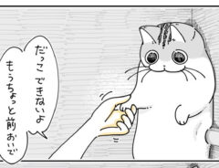 キュルガの漫画