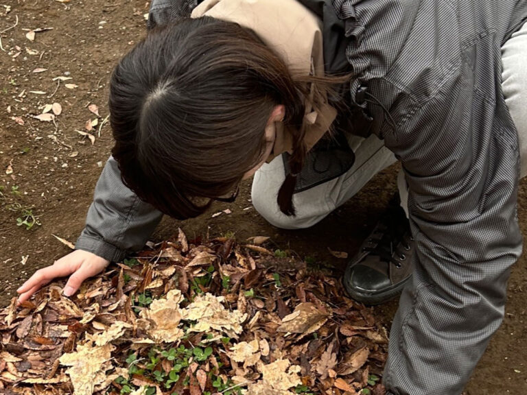 落ち葉でお好み焼き写真