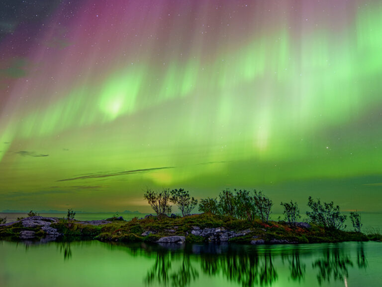 なんて綺麗なの」「夢の世界のよう」 プロがとらえた『幻想的な1枚