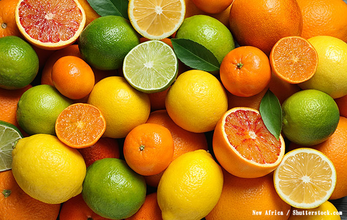 柑橘系果物の写真