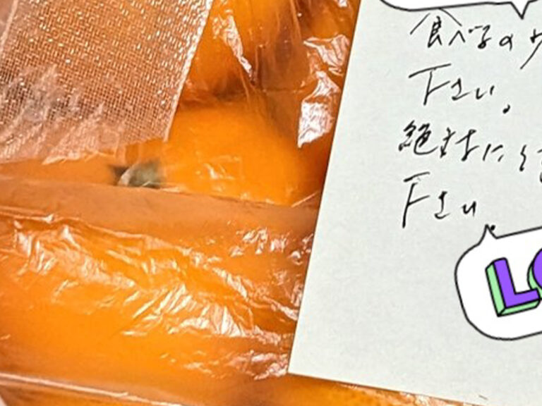 食べるのを手伝ってください」 おすそ分けのミカンに添えられた