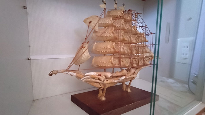 カニの殻の船写真