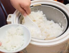 『炊飯』と『早炊き』で食感は変わる？　パナソニックの回答「早炊きの方が…」