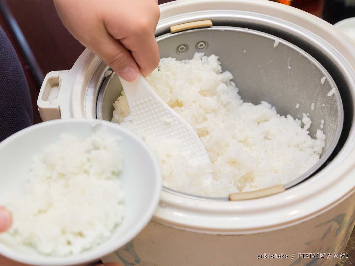 ご飯の写真