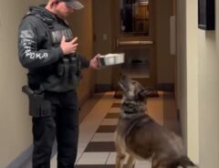 「スーパーサイズだ」　引退する警察犬に贈られた『ご褒美』がコチラ！