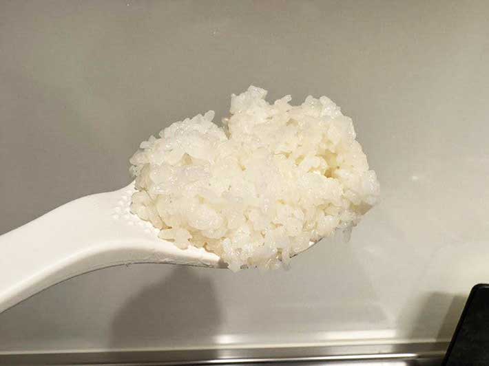 炊きあがったお米をしゃもじですくってみた写真